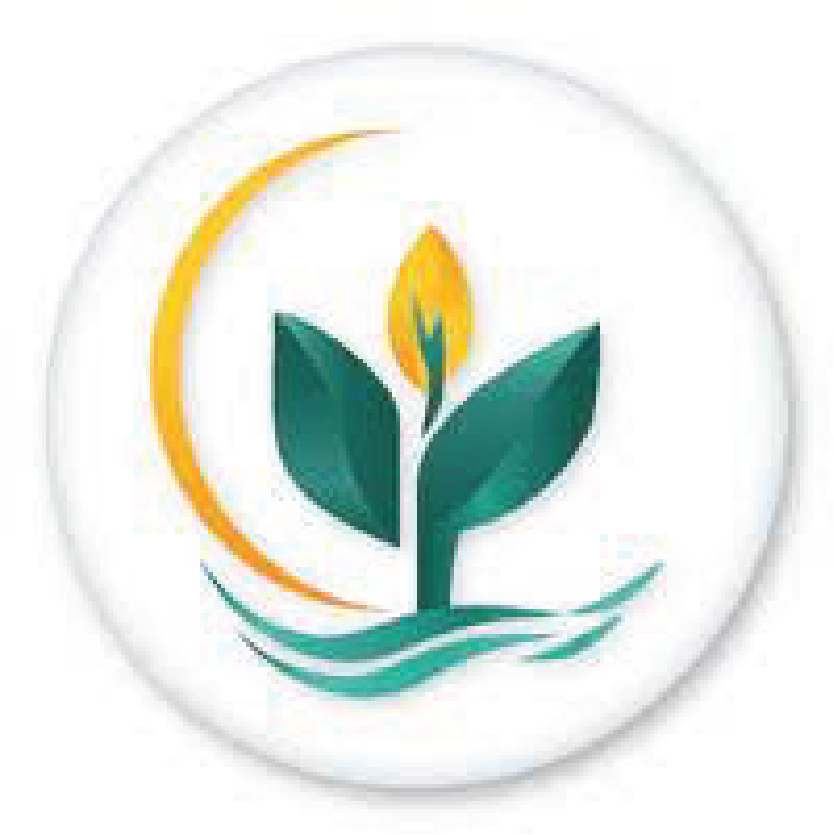 WeFlix CasinoPayments Accepted bay